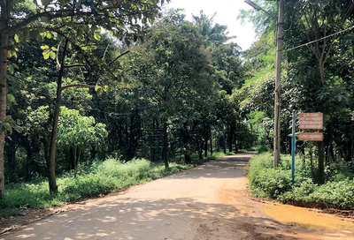 Sandalwood trees stolen from Karnataka State Reserve Police premises in Bengaluru