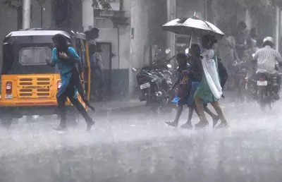 Tamil Nadu News: State to get more showers in coming days