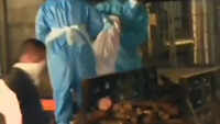 Mumbai: Covid-19 patient cremated, no norms followed 