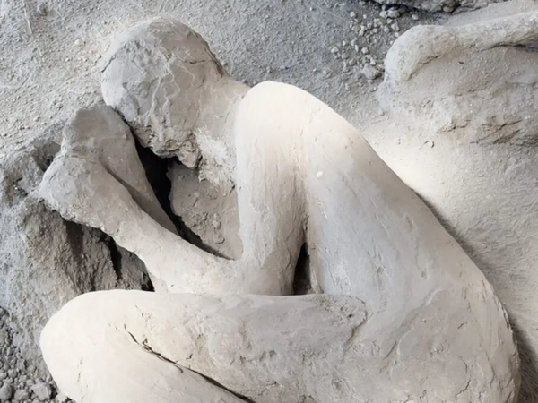 Pompeii victim may have been a Roman doctor fleeing Vesuvius with his medical tools