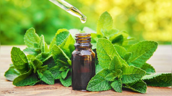 Benefits of mint for hair: Improves blood circulation, leading to hair growth.