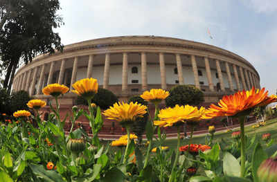 Ruckus in RS over hasty passage of Constitution Amendment Bill