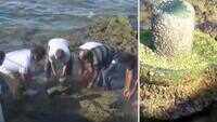 Tamil Nadu: Shiva lingam found amid coral rocks in Rameswaram 