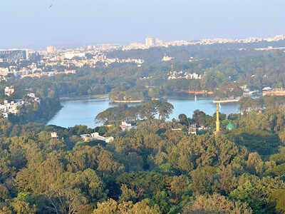 City lakes are awaiting aid