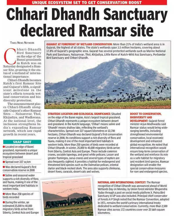 Chhari Dhandh declared Gujarat’s 5th Ramsar site