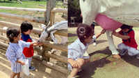 Taimur Ali Khan enjoys farm life in London,  gets overjoyed as he feeds a baby goat with buddy Kainat 