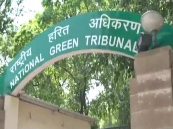 Delay in appointments trigger NGT bench shutdown rumours