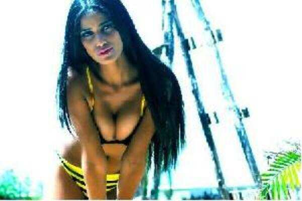 Poonam Pandey's connection to porngate