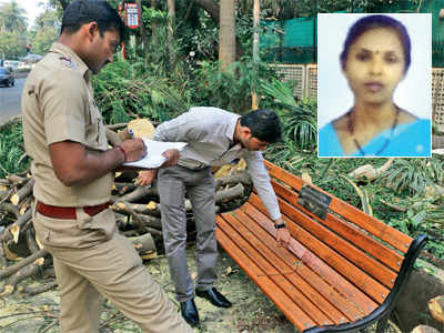 Chembur woman dies after tree falls on her