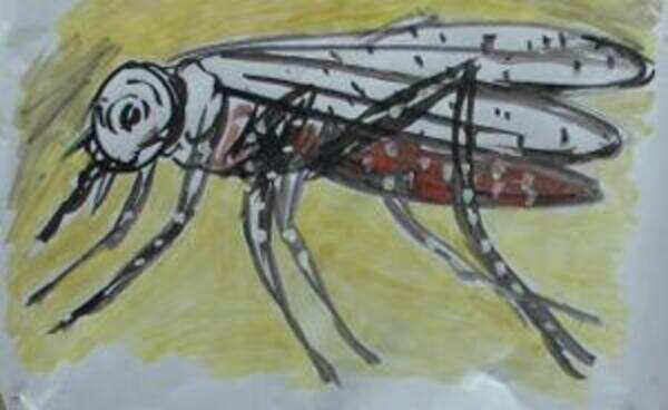 No stopping the reign of mosquitoes in Vijayawada