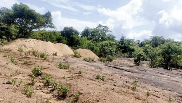 Stop illegal sand extraction on banks of Sharavati: Activist