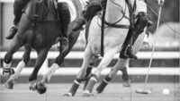 First Polo tournament was played in Argentina on 3 September 1875 
