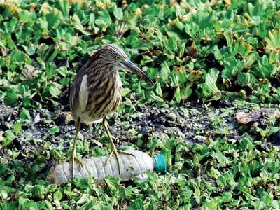 Story Behind The Photo: Ban plastic