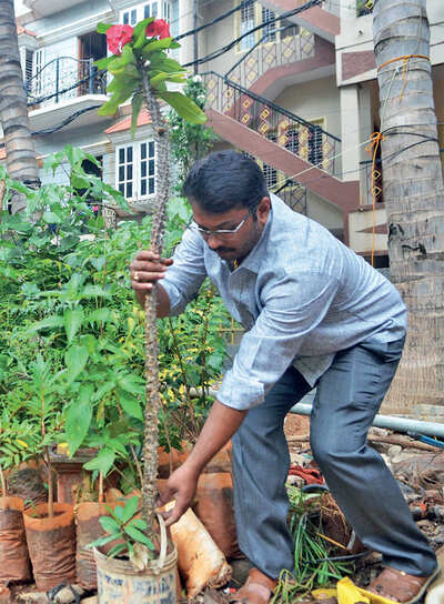 Cabbie swaps booze for greening the city