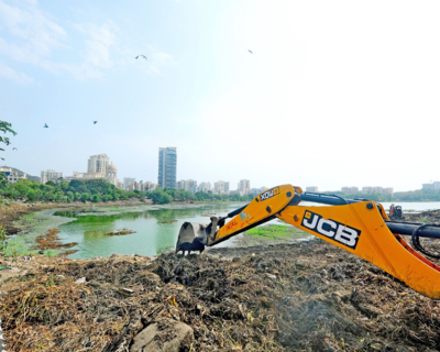 BMC ties up Canadian firm to clean up Mithi river, Powai lake