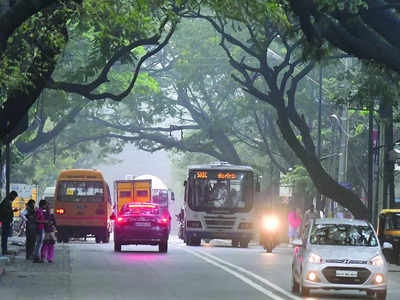 At 23.8 degrees Celsius, it is sweater weather in Bengaluru