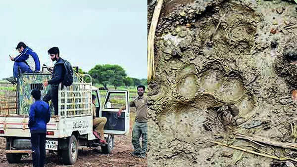 Drone pressed into service as search for leopard intensifies in Dharwad