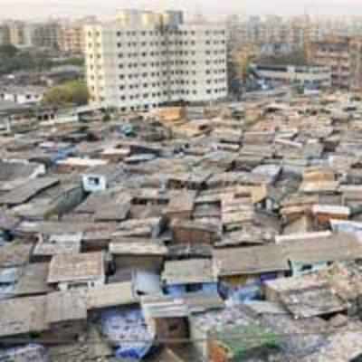 Dharavi makeover heads back to the drawing board