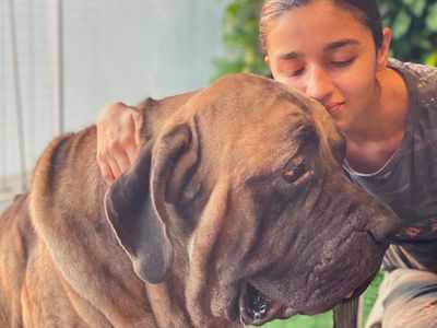 Alia shares an adorable picture with Ranbir's dog