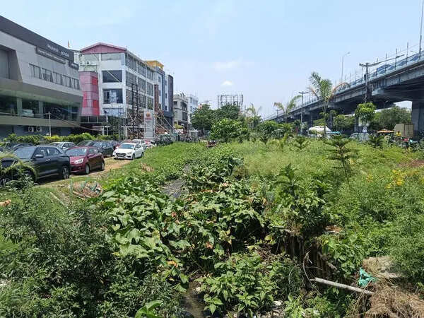 Rajarhat-Gopalpur MLA focuses on illegal bldgs, VIP Road waterlogging