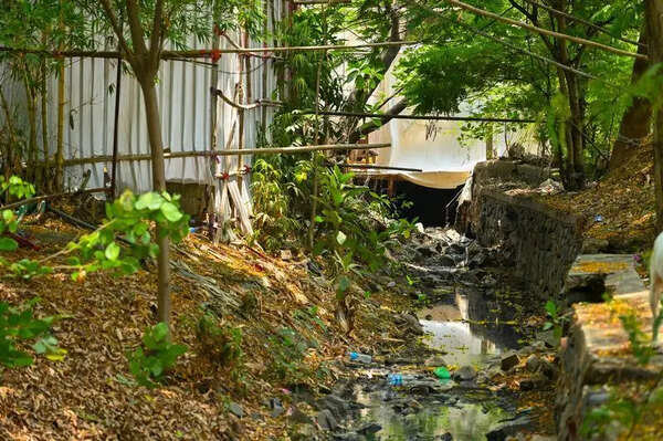 Police Cite 280 FIRs, Deny Inaction in Liquor and Noise Violations Case on PDKV Land