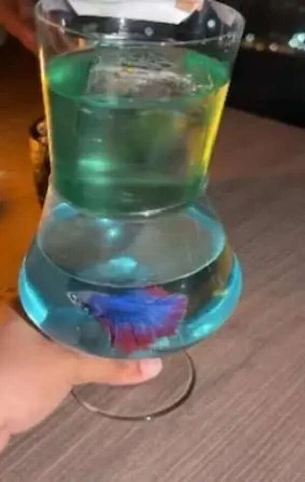 Restobar, co-owned by Sanjay Dutt, withdraws live fish cocktail after outcry