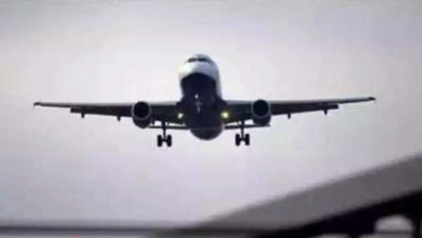 3,000 less domestic flights to take to the skies this summer