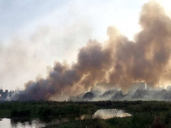 Bengaluru lake on fire for 3 hours as firemen look on helplessly