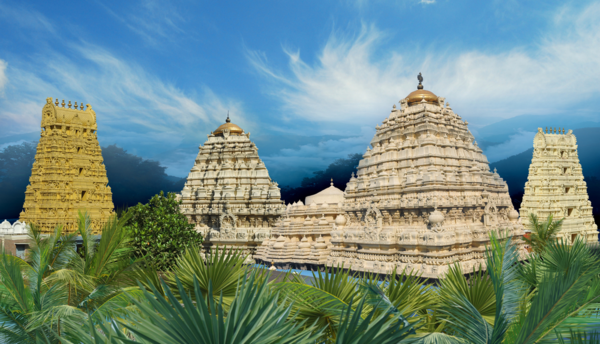 Man arrested for theft during hundi counting at Simhachalam temple