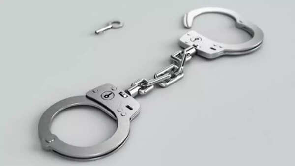 Haryana: Two held for former sarpanch’s kin murder case