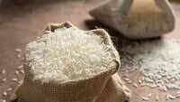 Despite lockdown, Q1 agri exports jump 23% 