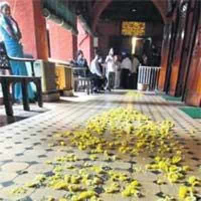 Chennai lawyers say it with flowers