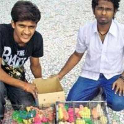 College student nabs two illegal bird-sellers
