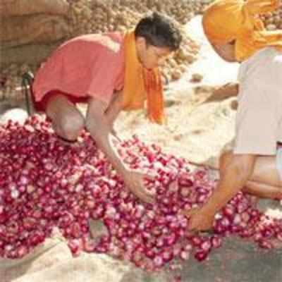 Onion traders get clean chit from Income Tax department