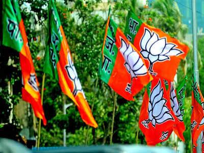 BJP aims at majority in Karnataka MLC polls, JD(S) likely to support