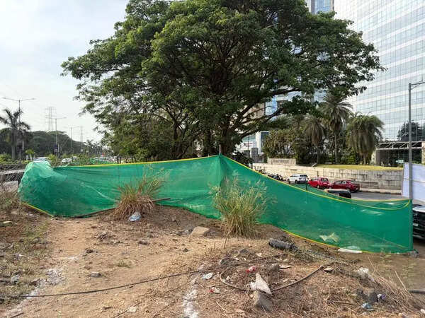 IIT-Bombay team inspects Palm Beach Road underpass site in Navi Mumbai