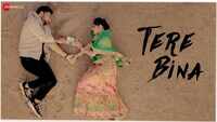 Latest Hindi Song 'Tere Bina' Sung By Bismil 