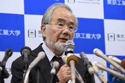 Japan's Yoshinori Ohsumi wins Nobel Medicine Prize for cell 'recycling'