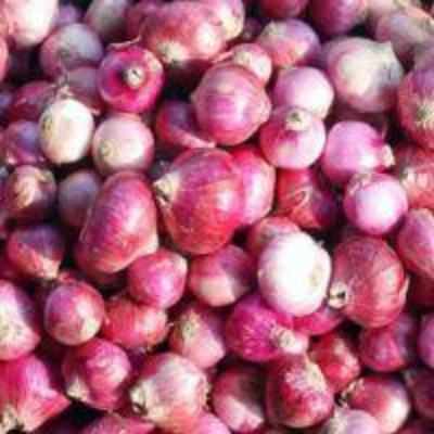 Pak resumes onion export to India