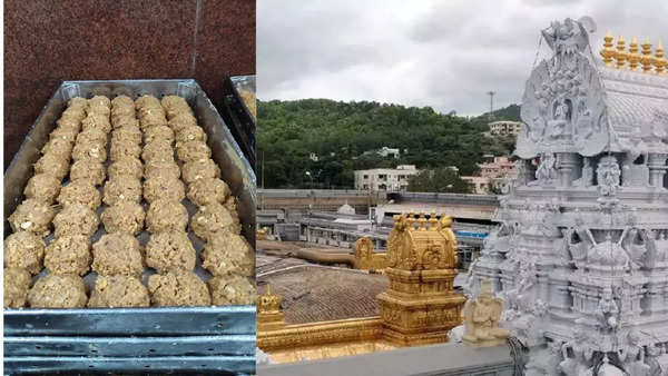 'Rs 500cr revenue annually': Tirupati's sacred sweet takes sour turn amid prashad row