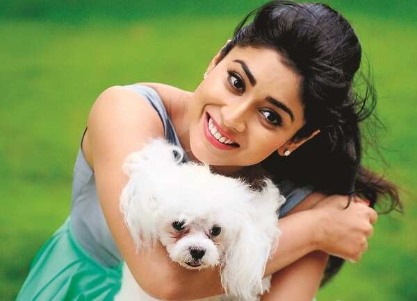 I've been infatuated by almost every actor I've worked with: Shriya Saran