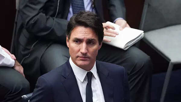 ‘Trudeau’s idea is to cater to his constituency’