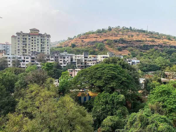 Case against landowner for illegal hill excavation in Bibvewadi