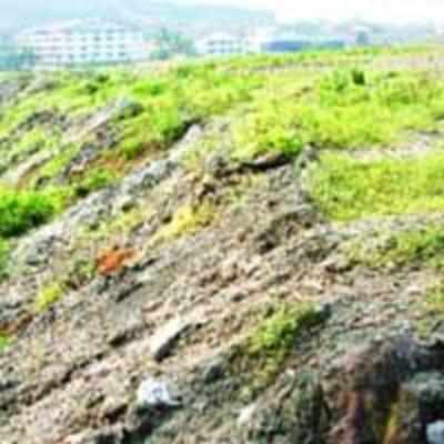 NMMC violates order, uses reserve forest for dumping in TTC indl area