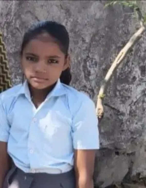 Stray dogs maul 9-year-old to death in Bundi village