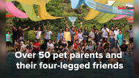 A pool paw-rty for furry kids in Delhi 