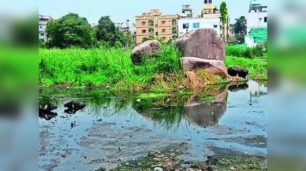 The lake disappearance in Bengaluru