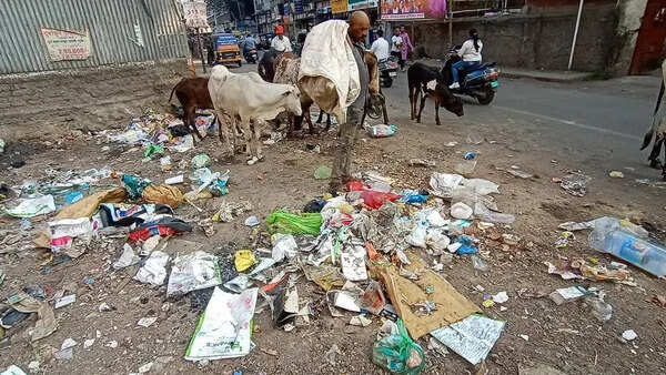 Pune Cantt struggles as daily waste surges to 80 tonnes