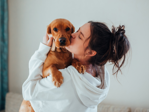 why should you not kiss your dog