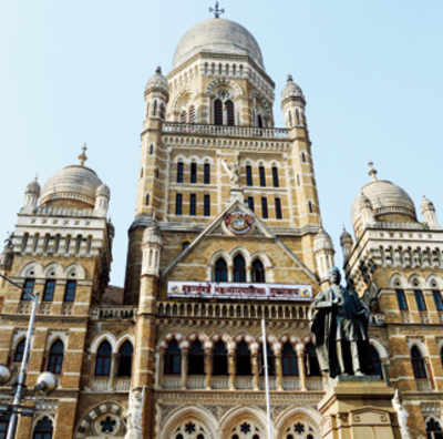 BMC permitted chopping off 7,842 trees in 3 yrs